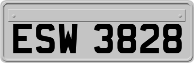 ESW3828