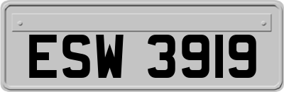 ESW3919