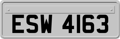 ESW4163