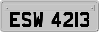 ESW4213