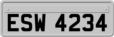 ESW4234