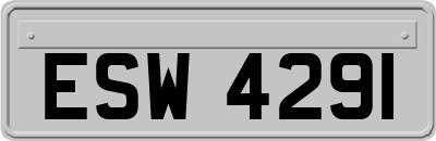 ESW4291