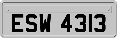 ESW4313