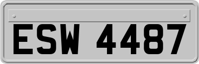 ESW4487