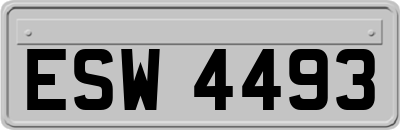 ESW4493