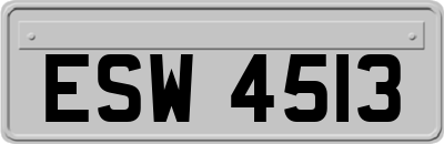 ESW4513