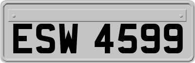 ESW4599