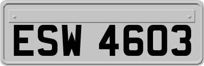ESW4603
