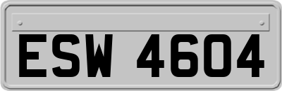 ESW4604