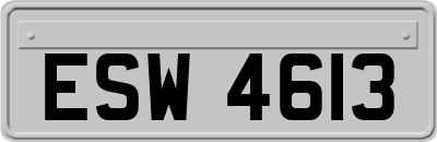 ESW4613