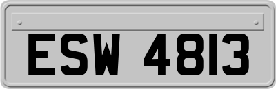 ESW4813