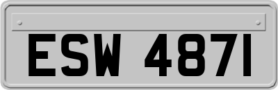 ESW4871