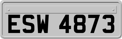 ESW4873