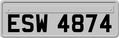 ESW4874