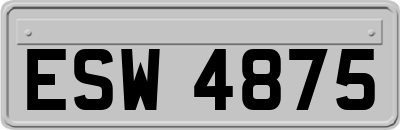 ESW4875