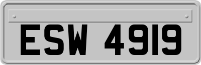 ESW4919