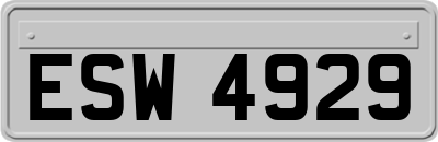 ESW4929