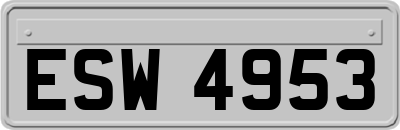 ESW4953
