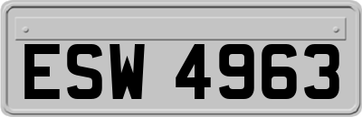 ESW4963