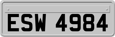ESW4984