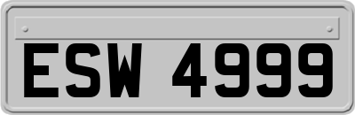 ESW4999