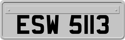 ESW5113