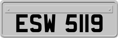 ESW5119
