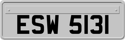 ESW5131