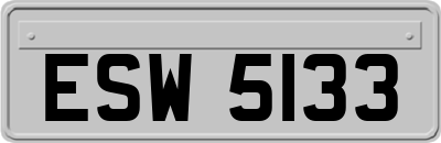 ESW5133