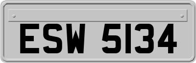 ESW5134