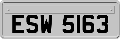 ESW5163