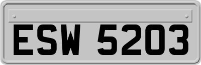 ESW5203