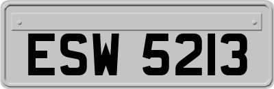 ESW5213