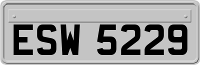 ESW5229