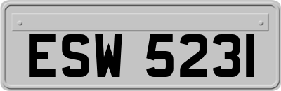 ESW5231