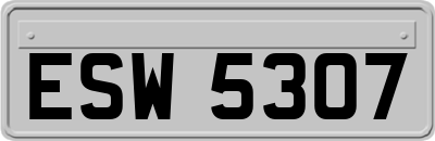 ESW5307