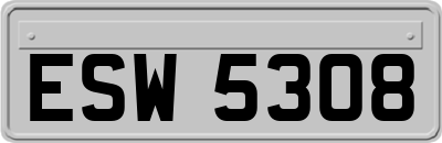 ESW5308