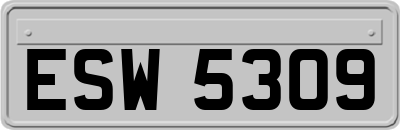 ESW5309
