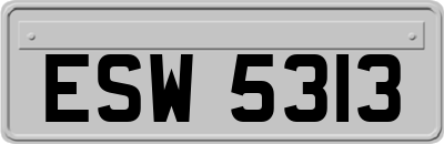 ESW5313