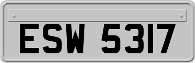 ESW5317