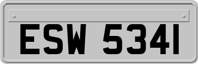 ESW5341