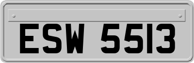 ESW5513