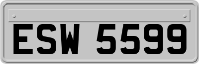 ESW5599