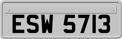 ESW5713