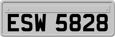 ESW5828