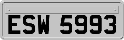 ESW5993