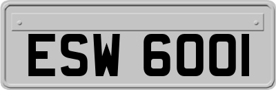 ESW6001