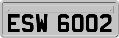 ESW6002