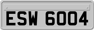 ESW6004