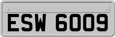 ESW6009